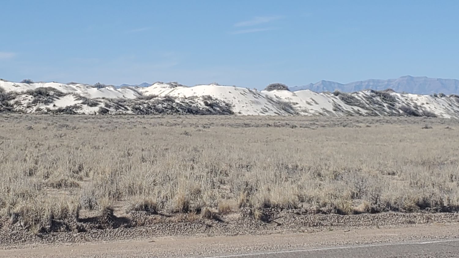 White Sands Playa and Dune Life Trails 